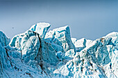 Landschaft im Liefdefjord um den berühmten Gletscher Monacobreen, Spitzbergen, Svalbard, Norwegen