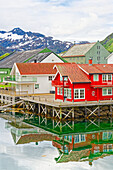  Typical houses, Svolvaer, Lofoten, Nordland, Norway 