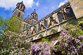 Germany, Saxony - Anhalt, Magdeburg, Dom, Cathedral, 