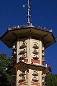 France, Bretagne, Rennes, Parc du Thabor, pigeon house, 