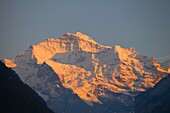  Schweiz, Bern, Interlaken, Jungfrau, Gipfel,  