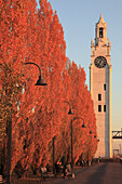  Kanada, Quebec, Montreal, Alter Hafen, Uhrturm, Herbstfarben,  