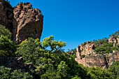 Gorges du Blavet, Bagnols-en-Forêt, bei Saint-Raphaël, Massif de l'Esterel, Esterel-Gebirge, Département Var, Cote d'Azur, Provence-Alpes-Côte d'Azur, Frankreich