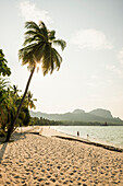  White sand beach and coconut palms, sunset, Pearl Beach, Koh Mook, Krabi Province, Trang, Southern Thailand, Andaman Sea, Thailand 