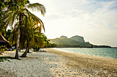  White sand beach and coconut palms, sunset, Pearl Beach, Koh Mook, Krabi Province, Trang, Southern Thailand, Andaman Sea, Thailand 