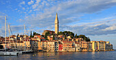 Croatia, Istria, Rovinj, skyline, general view, 