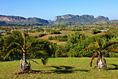 Cuba, Vinales Valley, Valle de Vinales, mogotes, limestone cliffs, 