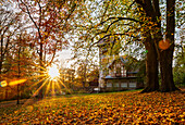  Autumn, Upper Franconia, Bavaria, Hof, City of Hof, Theresienstein, Citizens&#39; Park, Trees, Leaves, Sunlight, Sun 