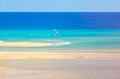 Windsurf, Sotavento Beach, Fuerteventura, Jandia, Canary Islands, Spain