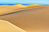 Sand dunes, Maspalomas, Playa del Ingles, Gran Canaria, Canary Islands, Spain