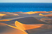 Sand dunes, Maspalomas, Playa del Ingles, Gran Canaria, Canary Islands, Spain
