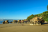 Three people hiking on the Wild Coast Trail across the sandy beach, Msikaba River, Wild Coast Trail, Wild Coast, Eastern Cape, South Africa 