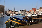  Boats in the harbor of Hoorn, Netherlands 