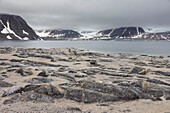 Rock formations on the island of Chermsideøya, Svalbard, Norway
