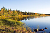 Bank of the Kemijoki River, Savukoski region,Lapland,Finland, Northern Europe