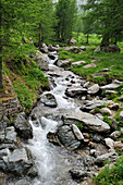 Mountain stream in Fontanalba valley, Mercantour National Park, Alpes-Maritimes department, Provence-Alpes-Cote d'Azur region, southeast of France, Europe.