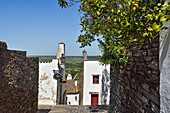 Alley in the perched village Monsaraz, Municipality of Reguengos de Monsaraz, Alentejo region, Portugal, southwertern Europe