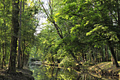 banks of the Canal de l'Eure or Canal Louis XIV at Maintenon, Eure-et-Loir department , Centre-Val de Loire region, France, Europe