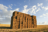 bales of straw , Eure-et-Loir department , Centre-Val de Loire region, France, Europe