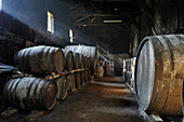 Cellar of 17th,Wine growing estate Chateau de Salles d'Armagnac,Gers department, Occitanie region, southwest of France,Europe