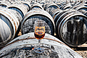 Barrels of Noilly-Prat wine at Marseillan,Herault department,Languedoc-Roussillon, Occitanie  region,France,Europe