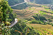 Paddy-fields around Tam Son village viewed from Quan Ba Pass on the road to Yen Minh,Ha Giang province, Northern Vietnam, Southeast Asia