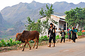 H'mong farmers family coming back from fields, near Dong Van, Ha Giang province, Northern Vietnam, Southeast Asia