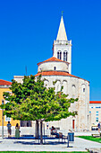Die Kirche St. Donatus in Zadar, Kroatien