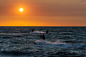  Kitesurfing at sunset on the west beach in Großenbrode, Baltic Sea, Ostholstein, Schleswig-Holstein, Germany 