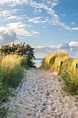  Dune path to the beach in Heiligenhafen, Baltic Sea, Ostholstein, Schleswig-Holstein, Germany 