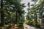Cliff View Trail, Kuestenwanderweg, Bass Harbor Light Station, Leuchtturm Bass Harbor, Acadia Nationalpark, Tremont, Maine, Mount Desert Island, USA