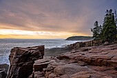  Rock formation at Thunder Hole, Park Loop Road, Acadia National Park, Mount Desert Island, Maine, USA 