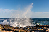Brechende Wellen auf die Felsen im Atlantik, Schoodic Peninsula, Halbinsel im Acadia National Park, Winterharbor, Maine, Ostkueste, USA