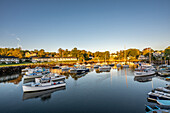  Perkins Cove Harbor with lobster boats and sailboats (a historic working fishing cove), Ogunquit, Marginal Way, Maine, East Coast, USA 