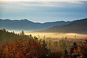  Autumn foliage in the Withe Mountains, morning mood, fall foliage, autumn coloring, Kancamagus Highway, New Hampshire, USA 