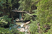 Canyoning in der Starzlachklamm, Sonthofen, Oberallgäu, Schwaben, Bayern, Deutschland