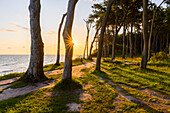  Sunrise in the Ghost Forest, Nienhagen, Baltic Sea, Germany 