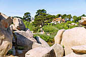  Cote de Granit Rose with houses on the Customs Officers&#39; Path (Sentier des Douaniers) between Perros-Guirec and Ploumanac&#39;h, Cotes d&#39;Armor, Brittany, France 