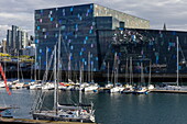  Sailboats in the marina in front of the Harpa concert hall, Reykjavik, Iceland, Europe 