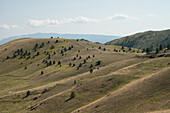  Landschaftsblick auf das Gran-Sasso-Plateau, Abruzzen, Italien 