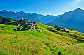  Alpine settlement Alpe Piasci with Bernina group in the background, Valmalenco, Alta via della Valmalenco, Bernina Alps, Lombardy, Italy 