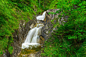 Kleiner Gebirgsbach mit Wasserfallstufen, Valepp, Mangfallgebirge, Bayerische Alpen Oberbayern, Bayern, Deutschland