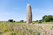 Menhir of Champ-Dolent near Dol-de-Bretagne, Ille-et-Vilaine, Brittany, France