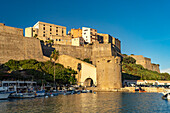  The Genoese salt tower and the citadel in Calvi, Balagne, Corsica, France 