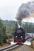  Brocken Railway on its way to the Brocken mountain, Harz National Park, Saxony-Anhalt, Germany 