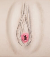 Qizil sochli vaginaning fotosurati