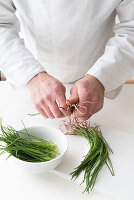 Barilla Plant Images  License food photos  StockFood