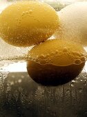 Harte Eier in kochendem Wasser