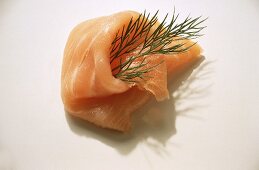 Salmon Rolls