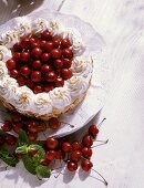 Kirsch-Sahne-Torte
